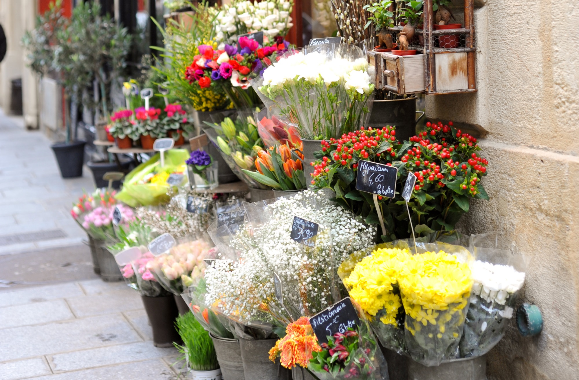 your complete guide to paris | information on paris your complete guide to paris | information on paris
