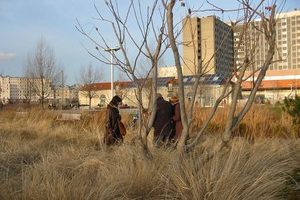 Parc Martin Luther King – Paris 17th
