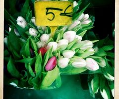 Sun on Les Invalides, Tulips at the Market