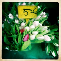 Sun on Les Invalides, Tulips at the Market