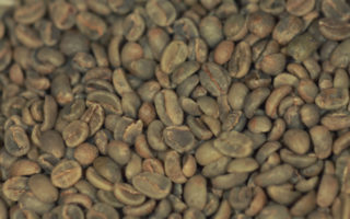 Paris is Brewing: The History of Coffee in France Since Louis XIV