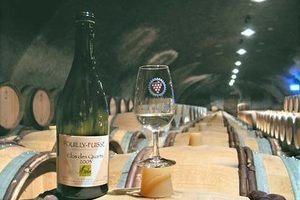 Pouilly-Fuisse, the Wine We Love to Know Nothing About….