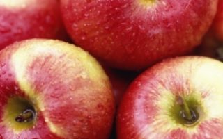 Flan aux Pommes