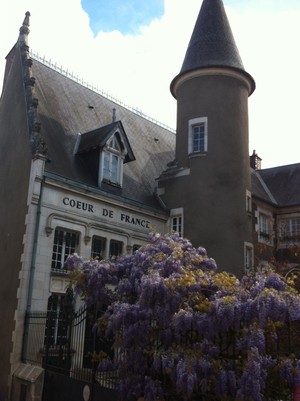 A French Dip: Learning French in a French Wine Town