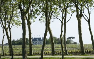 Chateau Margaux by Photojournalist Clay McLachlan