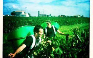 Vieux Chateau Certan Harvest in Bordeaux by Photojournalist Clay McLachlan