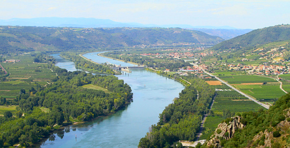 Home, Home on the Rhône: Cotes du Rhone Wine Region