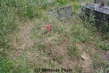 A Final Resting Place for Beauford Delaney