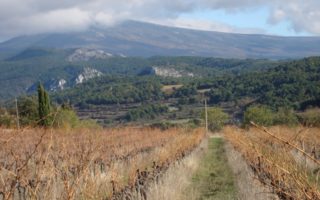 Clos de Trias Winery in Le Barroux