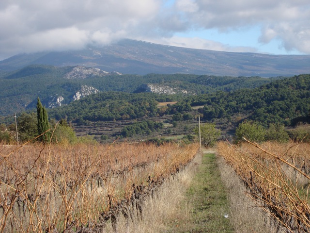 Clos de Trias Winery in Le Barroux