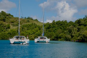 Discover Martinique … Flora, Fauna and Creole Flavor