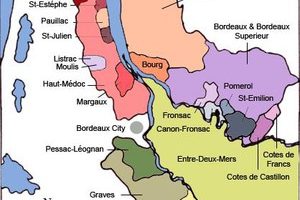 Wine Class: the Bordeaux Wine Official Classification