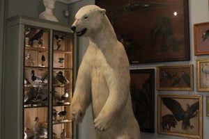 The Hunting and Nature Museum