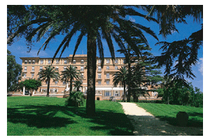 Gourmet Buzz: Beauvallon