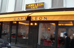 Cameleon Buzz