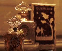 Summer Scents Buzz