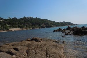 BUZZ:  Le Maquis, Corsica & Le Dodin De Mark Singer, Paris