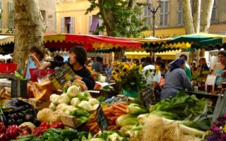 Taking Root in Provence
