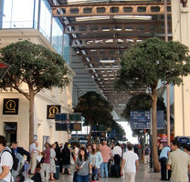 Sipping Pastis in Marseille