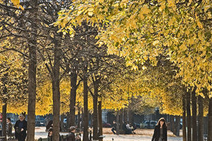 Paris in the Off Season