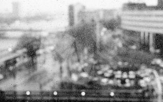 Photo of the Week – January 11, 2013