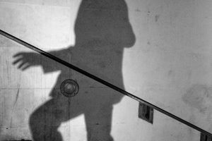 Shadow
