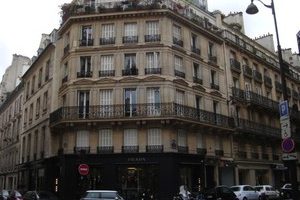 Books Set in Paris: Gourmet Rhapsody & Elegance of the Hedgehog