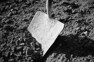 Shovel