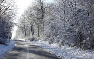 Winter Wonderland in Champagne