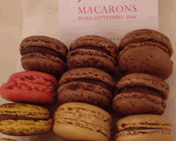 Macarons Support