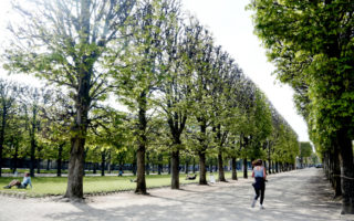 Favorite Running Spots in Paris: Le Jardin du Luxembourg