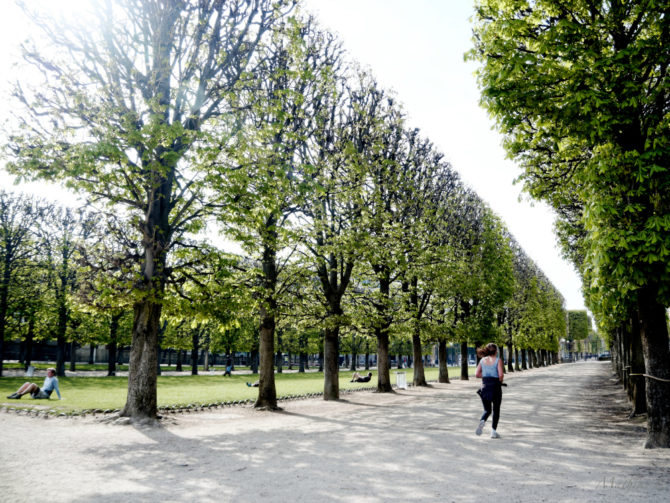 Favorite Running Spots in Paris: Le Jardin du Luxembourg