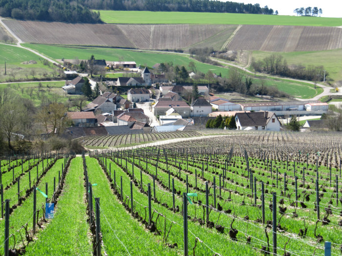 Champagne country, courtesy of Essoyes Office of Tourism