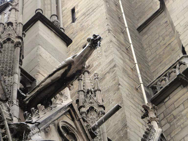 Gargoyle on Notre Dame cathedral/ Corey Frye