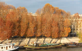 Photo Essay: Autumn’s Gorgeous Fall Foliage in Paris