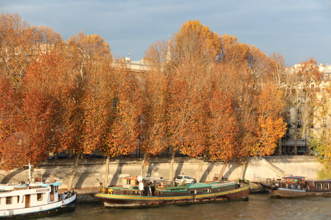 Photo Essay: Autumn’s Gorgeous Fall Foliage in Paris