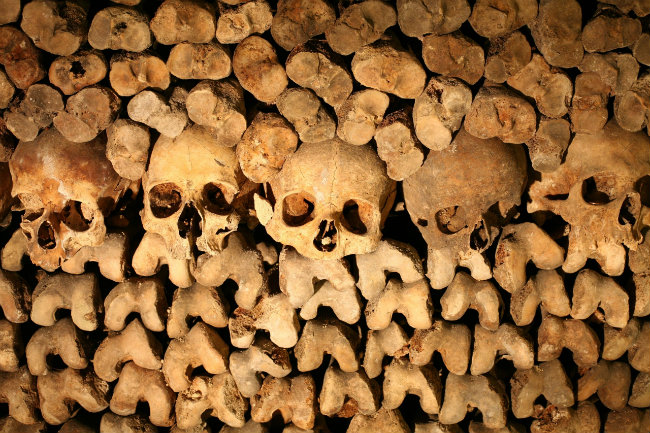 The Perfect Paris Wine Heist? Courtesy of the Catacombs