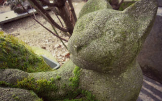 The Cat’s Meow: Explore the Cimetière des Chiens, the World’s Oldest Pet Cemetery