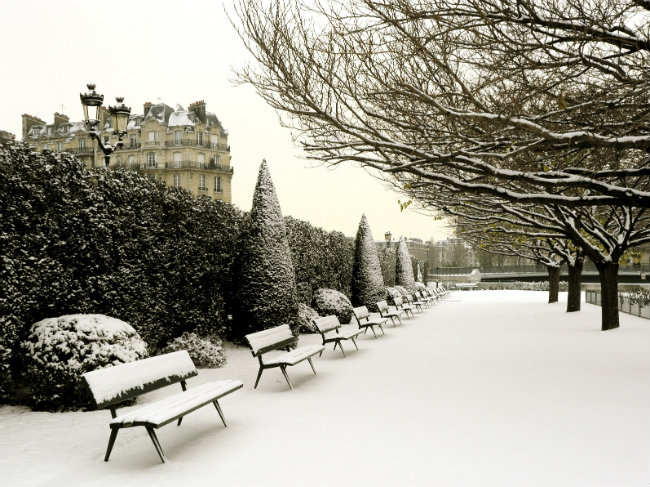 snow in a Paris garden