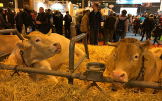 Eat, Drink and Be Merry at the Salon de l’Agriculture in Paris