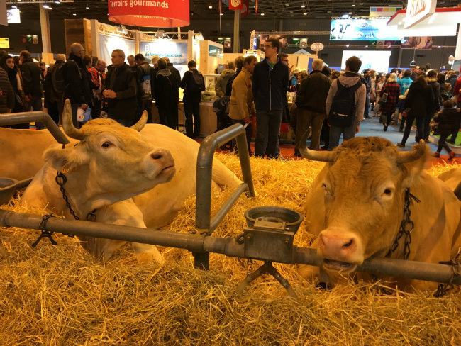 Eat, Drink and Be Merry at the Salon de l’Agriculture in Paris