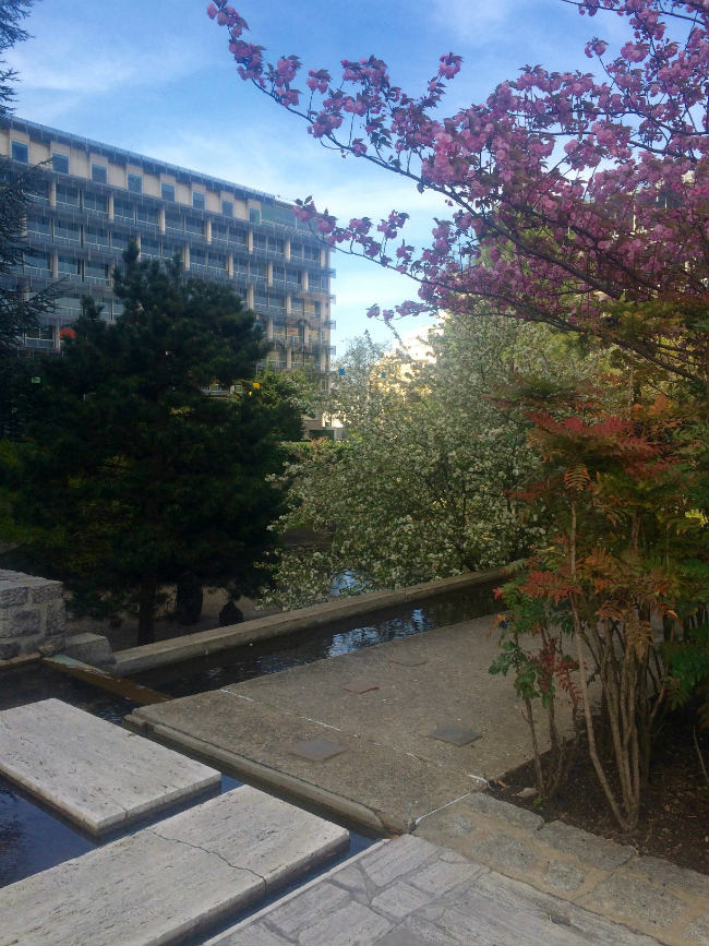 The gardens at UNESCO headquarters in Paris.