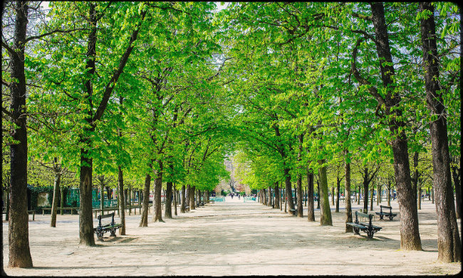 spring in Luxembourg Gardens