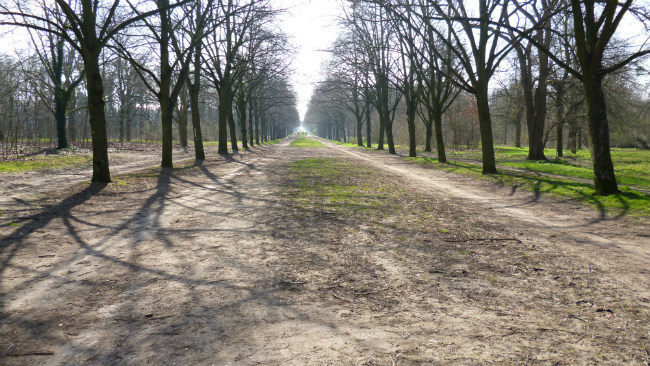 The Bois de Vincennes in early spring