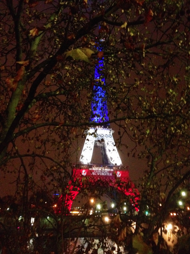 The Eiffel Tower lit up in the colors of the French flag