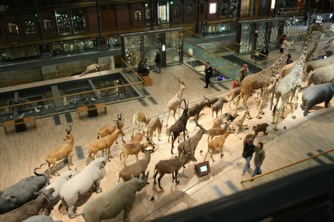The Gallery of Evolution at the Natural History Museum, Paris