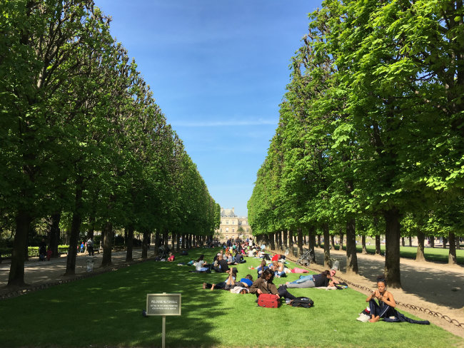 La Première Fois: Don’t Touch the Grass! by Everett Kent