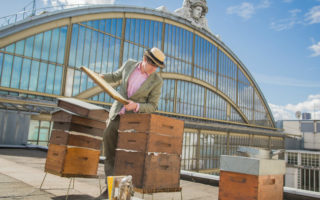 The Buzz in Paris: Rooftop Beehives, Honey and Urban Beekeeping
