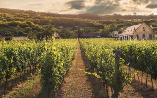 Weekend Trips from Paris: La Route du Champagne en Fête 2018