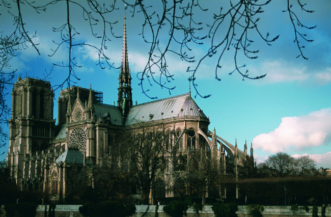 An Homage to Notre-Dame Cathedral in Paris